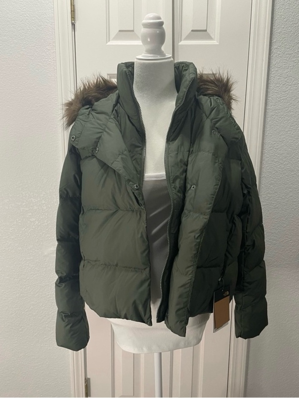 The North Face Jacket (Women)